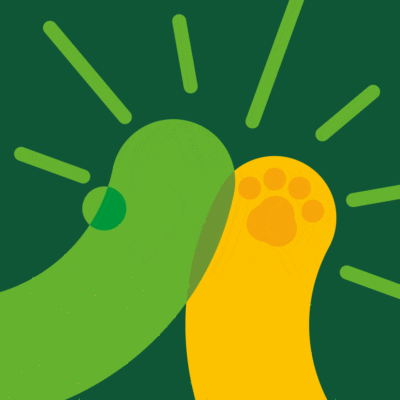 kita-kinderzimmer-hamburg-ratgeber-haustier-für-kinder