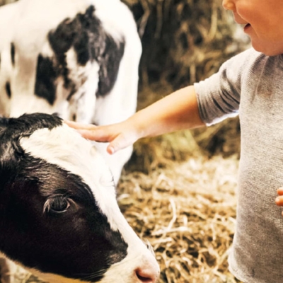 kita-kinderzimmer-hamburg-ratgeber-milch-kiziPendium_03_KnowHowdy_P14