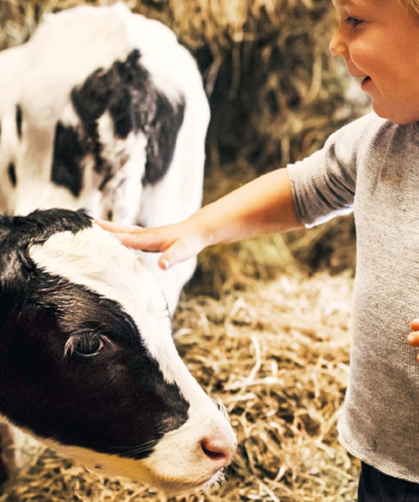 kita-kinderzimmer-hamburg-ratgeber-milch-kiziPendium_03_KnowHowdy_P14