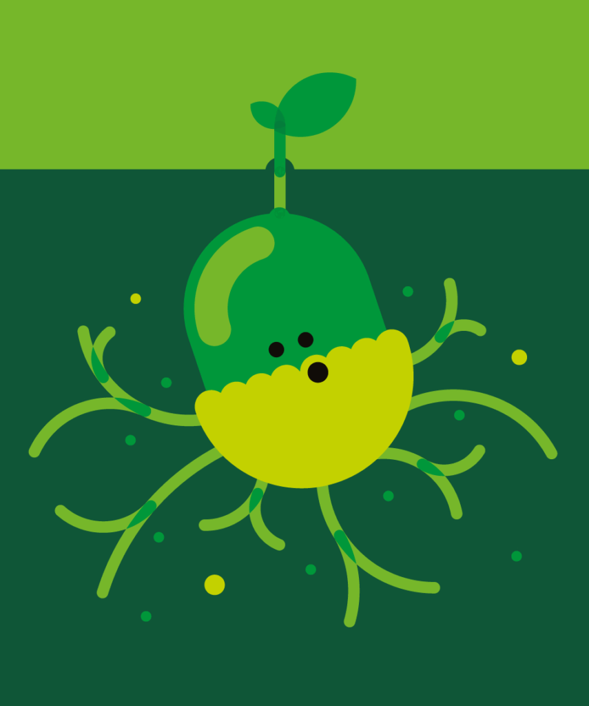 kita-kinderzimmer-hamburg-ratgeber-umwelt-essen-kiziPendium-03_KnowHowdy-P48