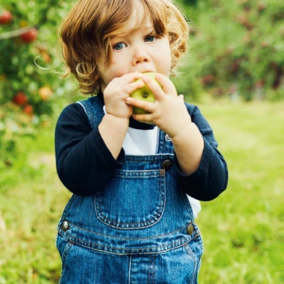 kita-kinderzimmer-hamburg-ratgeber-vegane-ernährung-kind