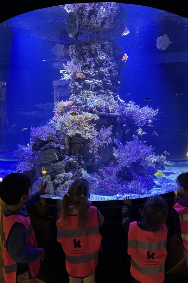 kita-hamburg-barmbek-kinderzimmer-seebek-aquarium