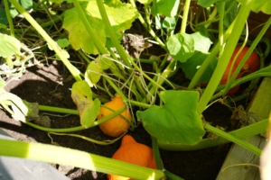 kita-hamburg-osdorf-kinderzimmer-bornheideDSC01668