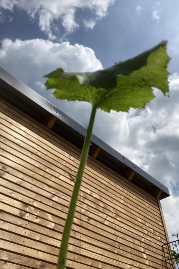 kita-kinderzimmer-bornheide-hamburg-osdorf-Image_20240726_152746_199