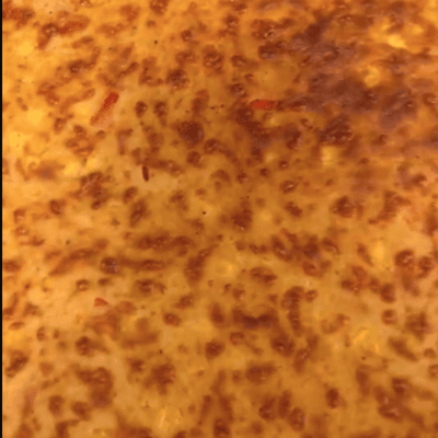 kita-kinderzimmer-eißendorf-hamburg-backen-herzhafter-kuchen-Bildschirmfoto 2024-11-12 um 10.38.18 Nahaufnahme von einem herzhaften Kuchen aus der Kita kinderzimmer Eißendorf in Hamburg Eißendorf